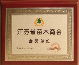 榮譽資質
